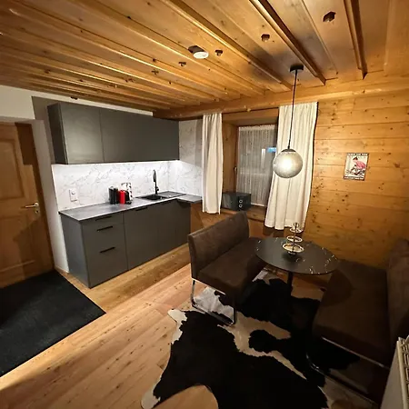 公寓 Kitzbuehel City Appartement *